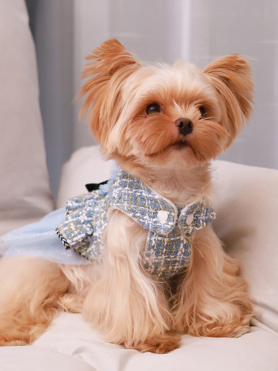 Pet clothing for spring & autumn, teddy bear, Schnauzer, Yorkshire, puppy clothing, dog princess dress, suitable for fashionable