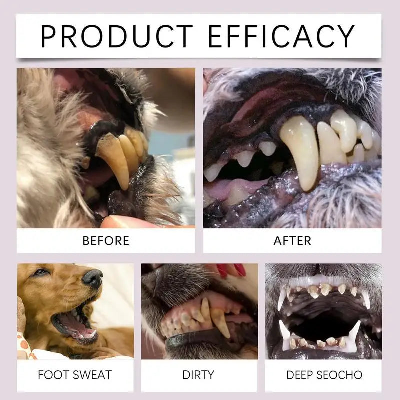 Pet Teeth Cleaning Pen Pet Dental Pen dog Toothbrush Pen Fresh Breath Tooth Whitening Cat Teeth Refreshing Pen pet supplies