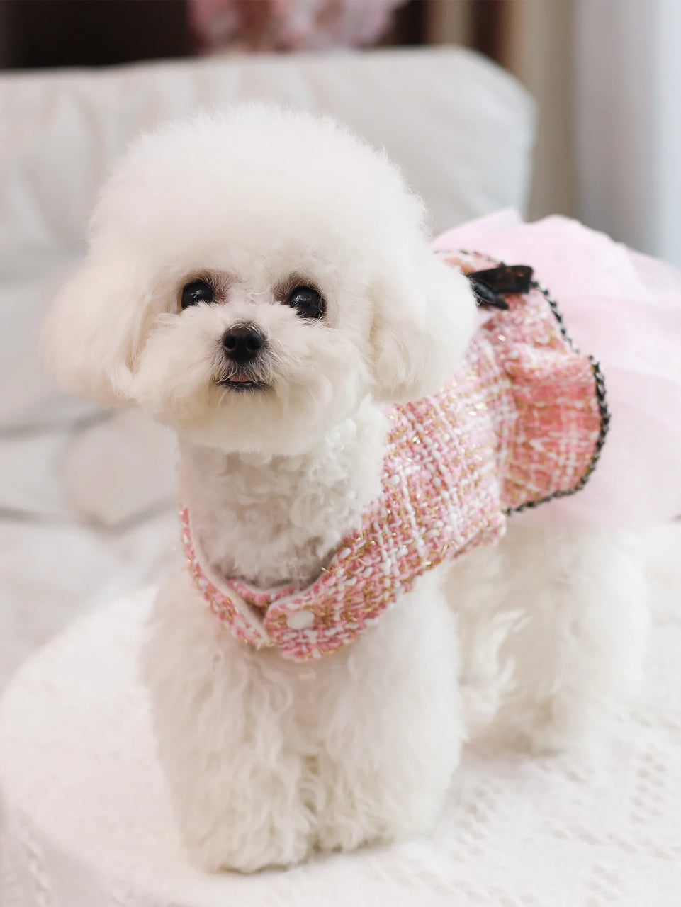 Pet clothing for spring & autumn, teddy bear, Schnauzer, Yorkshire, puppy clothing, dog princess dress, suitable for fashionable