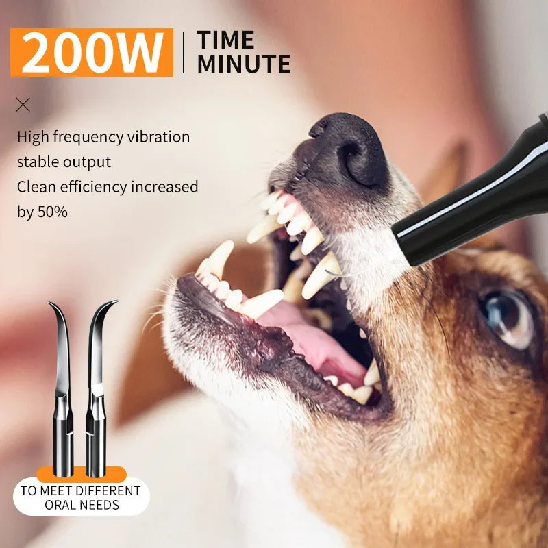 Pet Oral Care Dental Beauty Device Electric Dental Flusher for Dogs Portable Dental Stone Removal Ultrasonic Cleaner