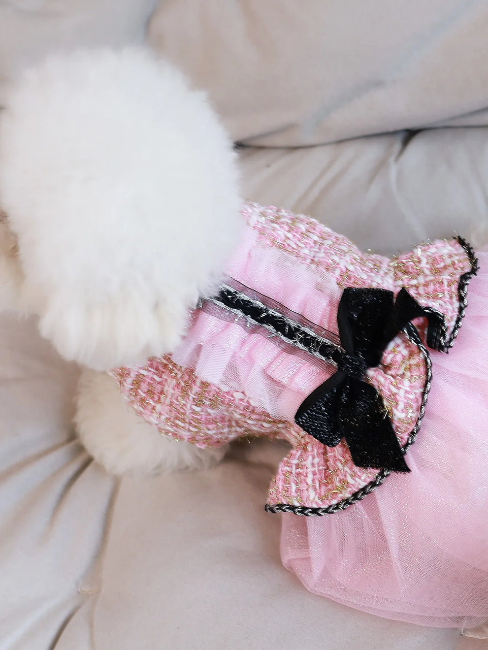 Pet clothing for spring & autumn, teddy bear, Schnauzer, Yorkshire, puppy clothing, dog princess dress, suitable for fashionable