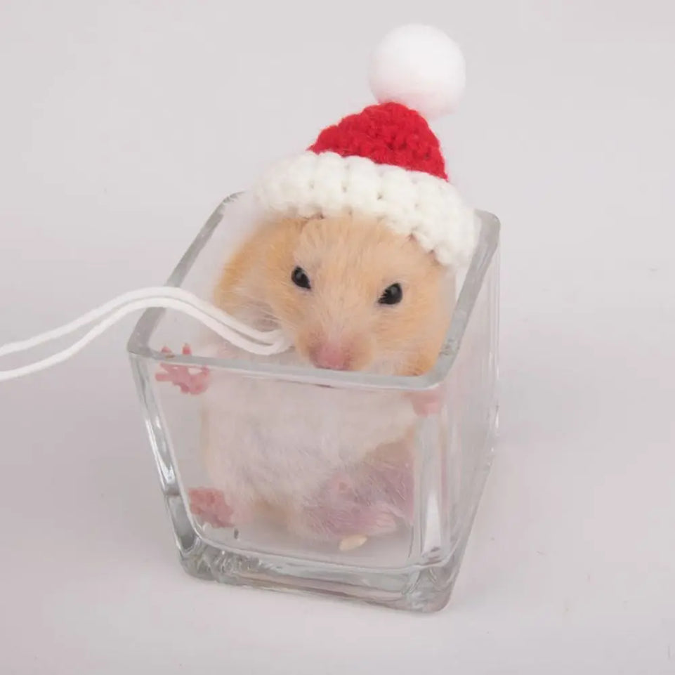 Pet Accessories Cartoon Hamster Hat Soft Handmade Pet Knitted Hat Adjustable Small Pet Caps Photograph