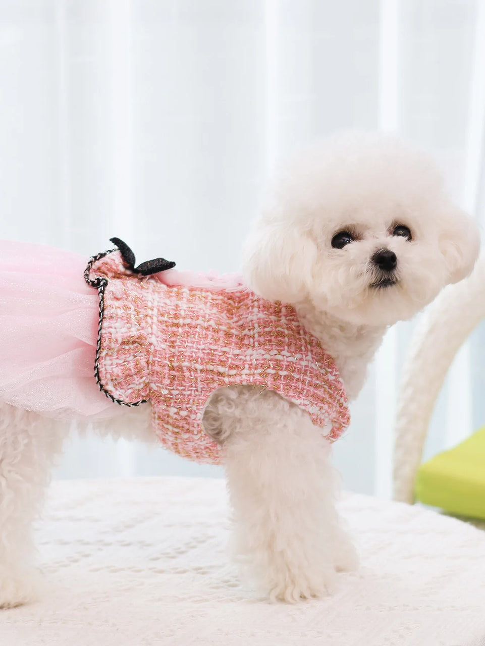 Pet clothing for spring & autumn, teddy bear, Schnauzer, Yorkshire, puppy clothing, dog princess dress, suitable for fashionable
