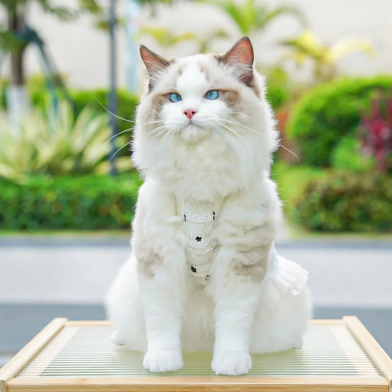 Fashion Ruffle Trim Dog Cat Princess Dress Breathable Bow Halter Summer Lace Pet Skirt Summer Elastic Luxury Cute Pet Clothes