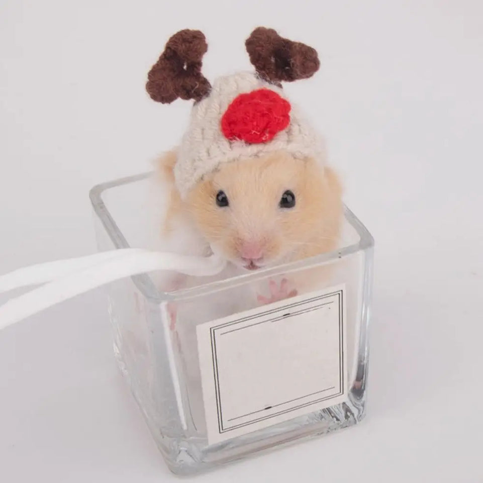 Pet Accessories Cartoon Hamster Hat Soft Handmade Pet Knitted Hat Adjustable Small Pet Caps Photograph