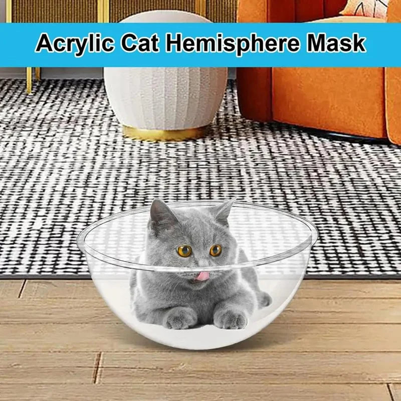 Small Space Cat Furniture Transparent Cat House Pet Furniture Anti-Scratch Replacement Cat Accessories For Tree Tower