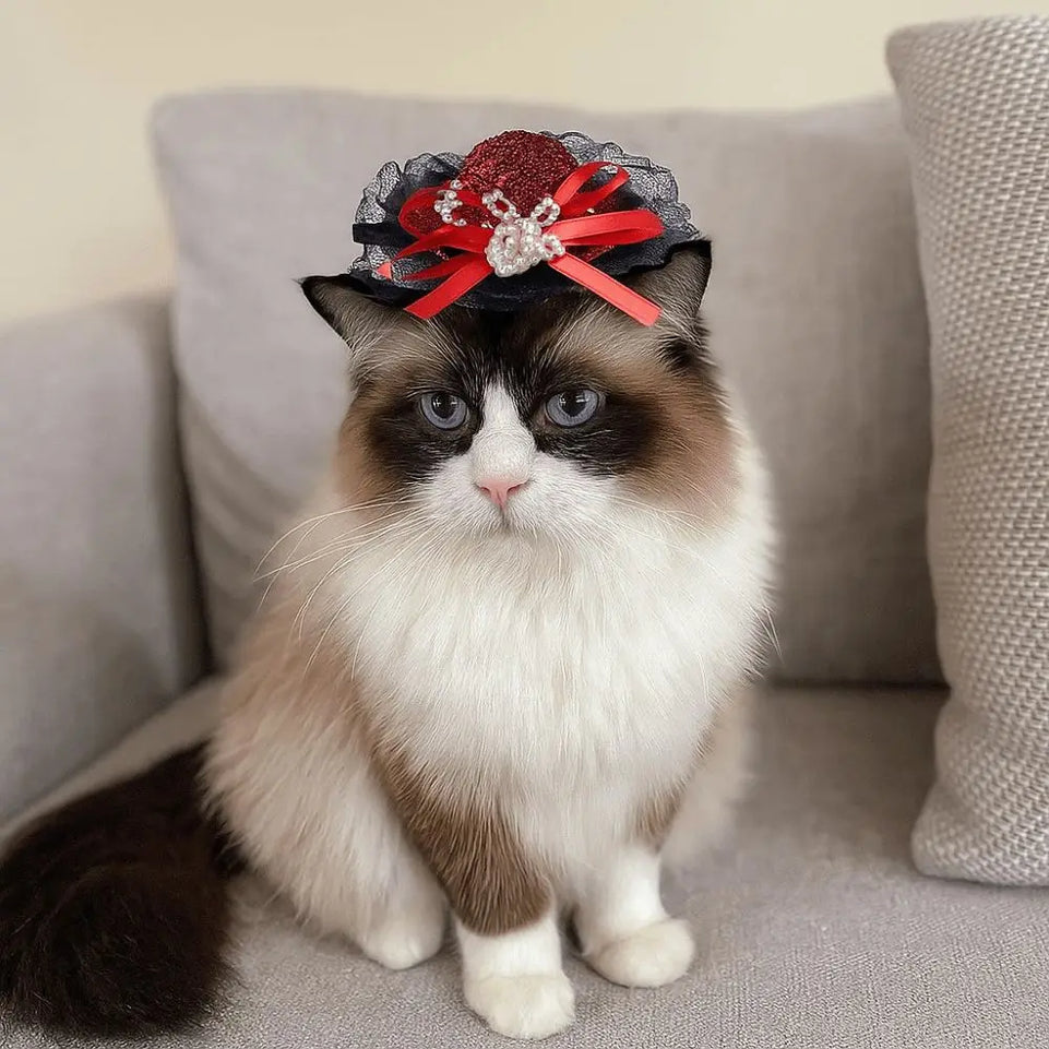 Pet Accessories Adjustable Pet Halloween Hat British Style Elastic Band Cat Lace Hat Sequin Cat Cosplay Hat Pet Party