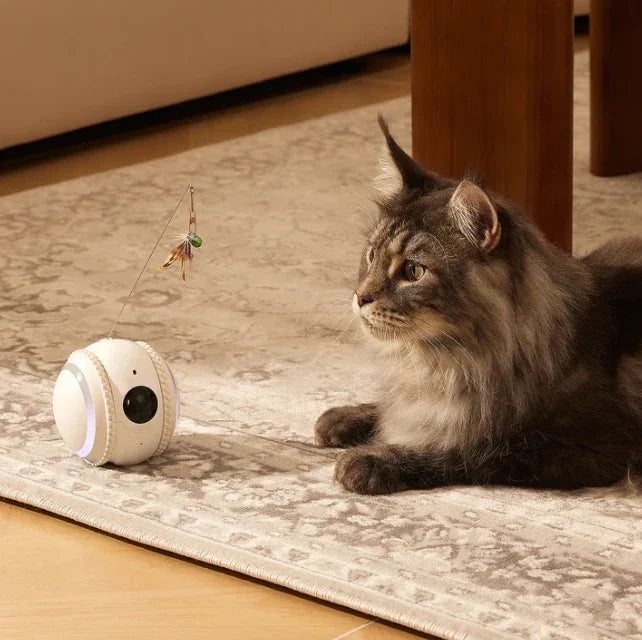 Interactive HD Pet came with Rolling Ball Toy inligent Home monit Featuring las Spot and Pet Movements Pet sounds