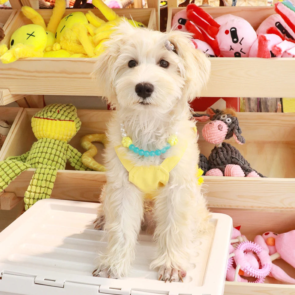 New Pet Accessories Pearl Necklace, Elegant Cute for Cats Small Dogs, Adjustable Safe Kitten Puppy Photo Props, Luxury Party