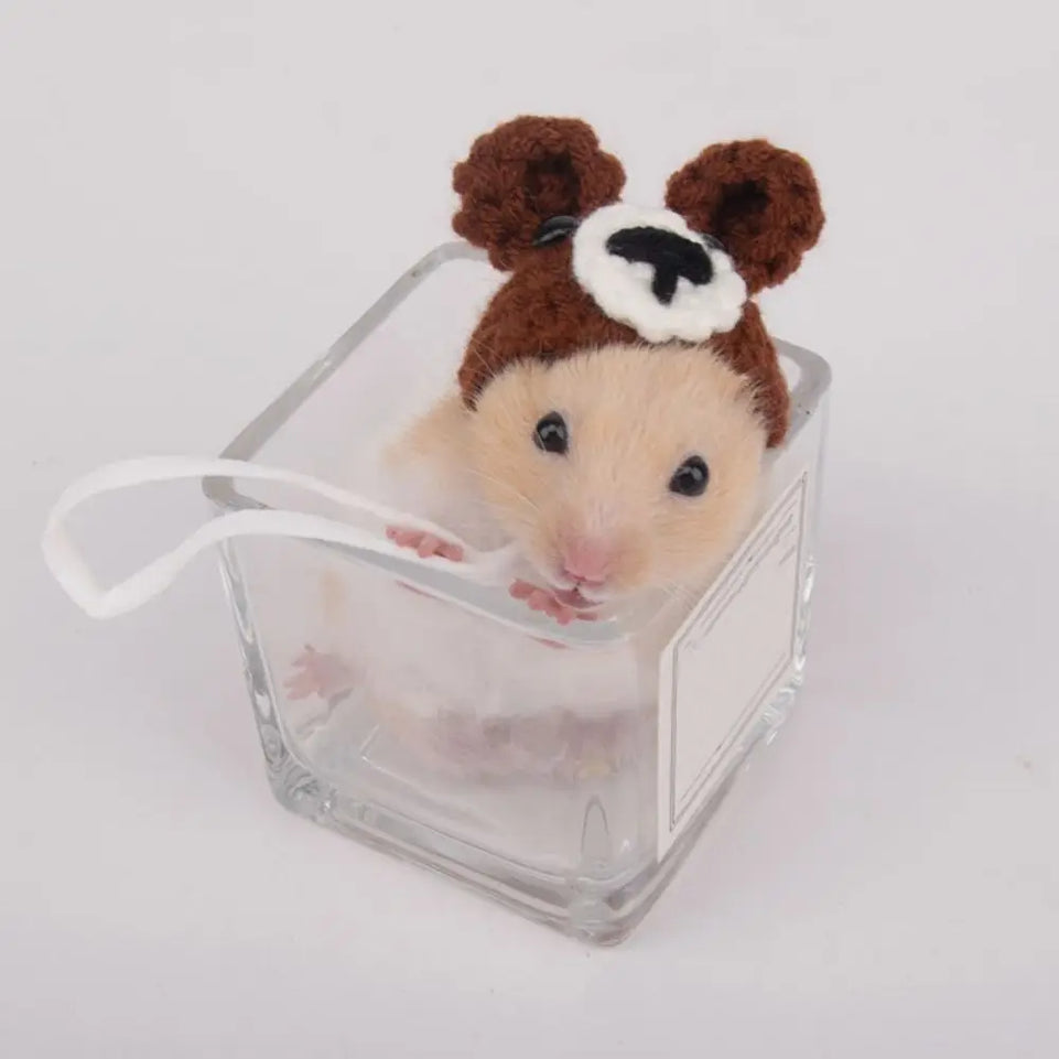 Pet Accessories Cartoon Hamster Hat Soft Handmade Pet Knitted Hat Adjustable Small Pet Caps Photograph