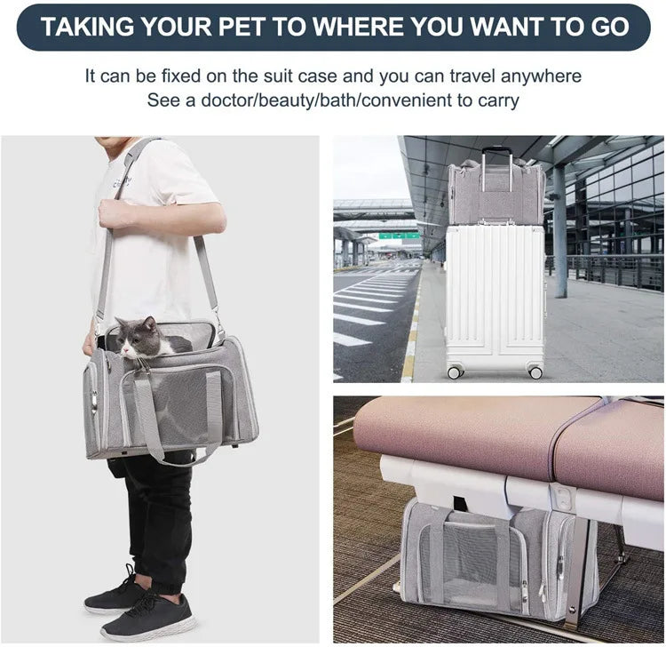 Pet Cat Charters Carry Bags Out Portable Large Capacity Pet Supplies Breathable Folding Large Space