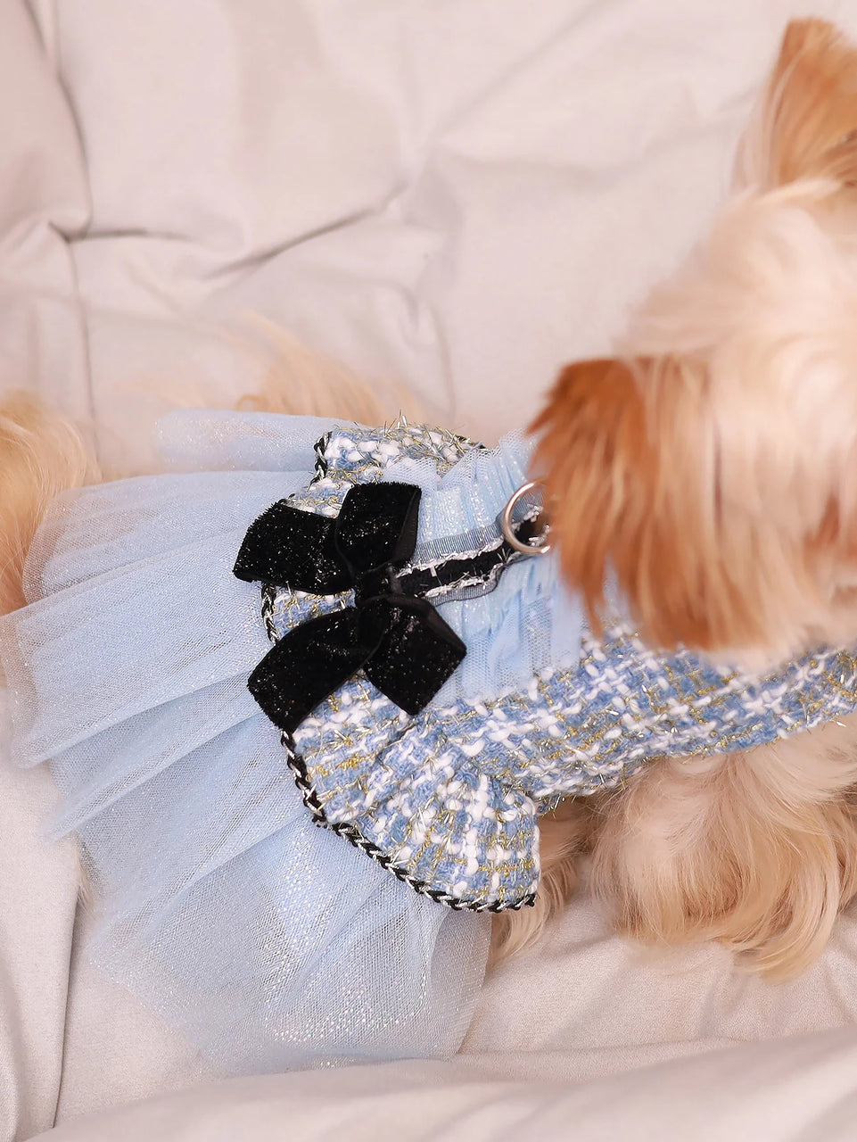 Pet clothing for spring & autumn, teddy bear, Schnauzer, Yorkshire, puppy clothing, dog princess dress, suitable for fashionable