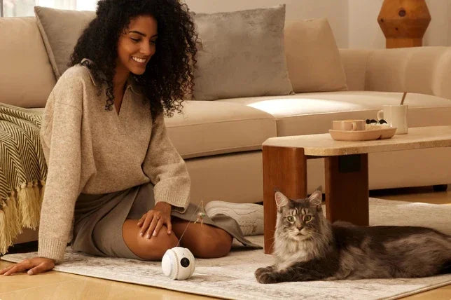 Interactive HD Pet came with Rolling Ball Toy inligent Home monit Featuring las Spot and Pet Movements Pet sounds