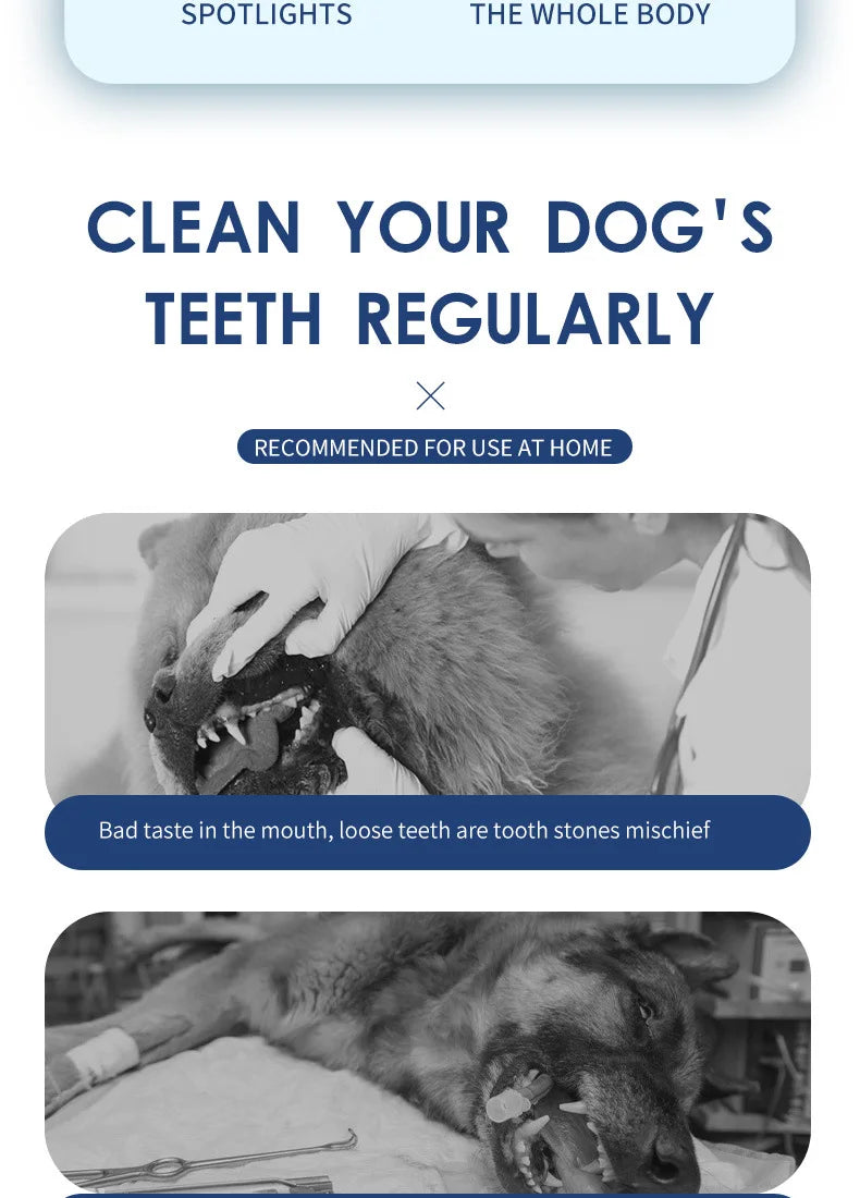 Pet Oral Care Dental Beauty Device Electric Dental Flusher for Dogs Portable Dental Stone Removal Ultrasonic Cleaner