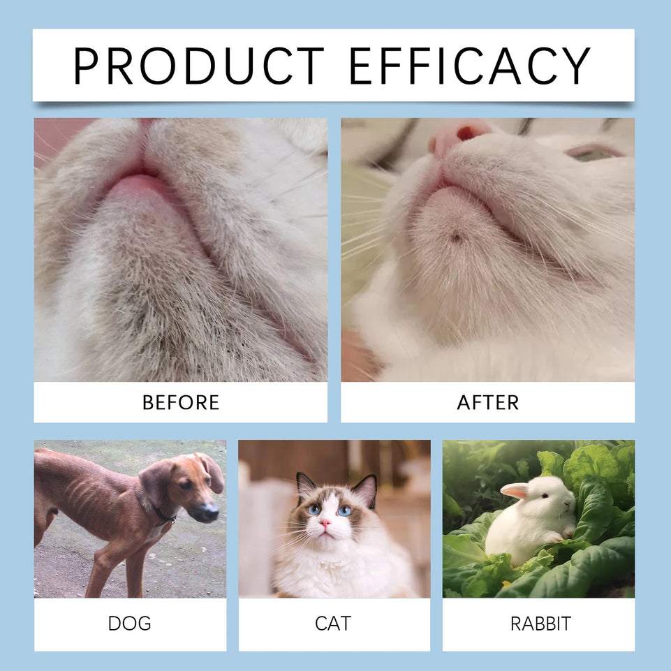 Pet Dental Care Kit for Dogs and Cats Teeth Cleaning Set Toothbrush 30ml Oral Solution Tartar Control Fresh Breath Gentle Hygien