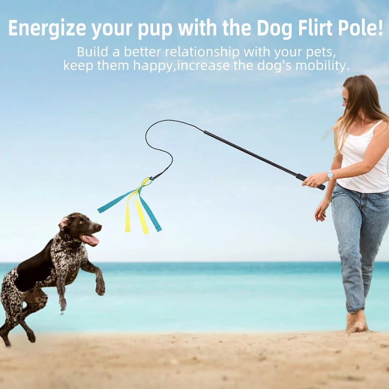 Dog Interactive Flirt Pole Toys Durable Interactive Toy Outdoor Activities Dog Training Toys Pet Supplies Pet Throwing Toy