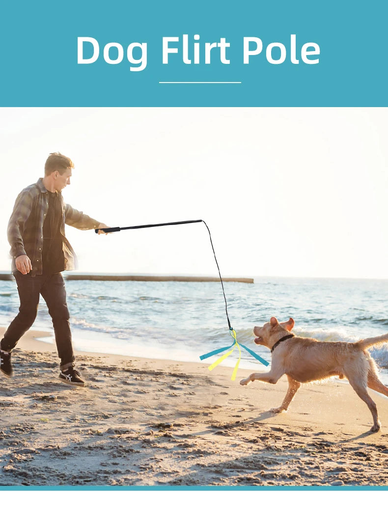 Dog Interactive Flirt Pole Toys Durable Interactive Toy Outdoor Activities Dog Training Toys Pet Supplies Pet Throwing Toy