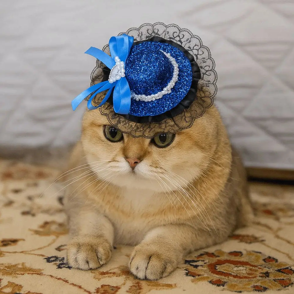 Pet Accessories Adjustable Pet Halloween Hat Sequin British Style Cat Lace Hat Elastic Band Cat Cosplay Hat Photo Prop