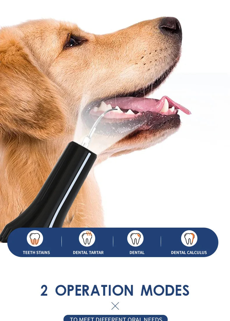 Pet Oral Care Dental Beauty Device Electric Dental Flusher for Dogs Portable Dental Stone Removal Ultrasonic Cleaner