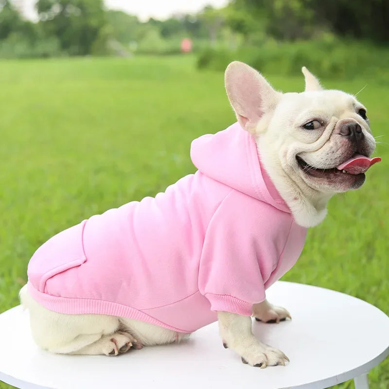 Fashion Dog Clothing Autumn and Winter Small Pet Clothes Thickening Warm Solid Color Two-Feet Hooded Weater Casual Pet Products