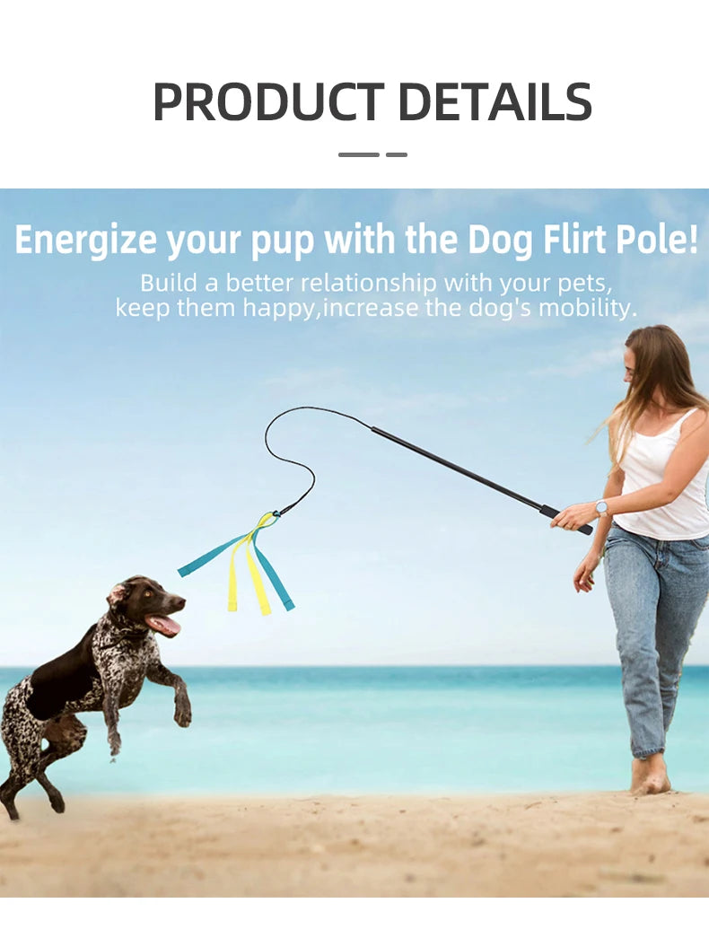 Dog Interactive Flirt Pole Toys Durable Interactive Toy Outdoor Activities Dog Training Toys Pet Supplies Pet Throwing Toy