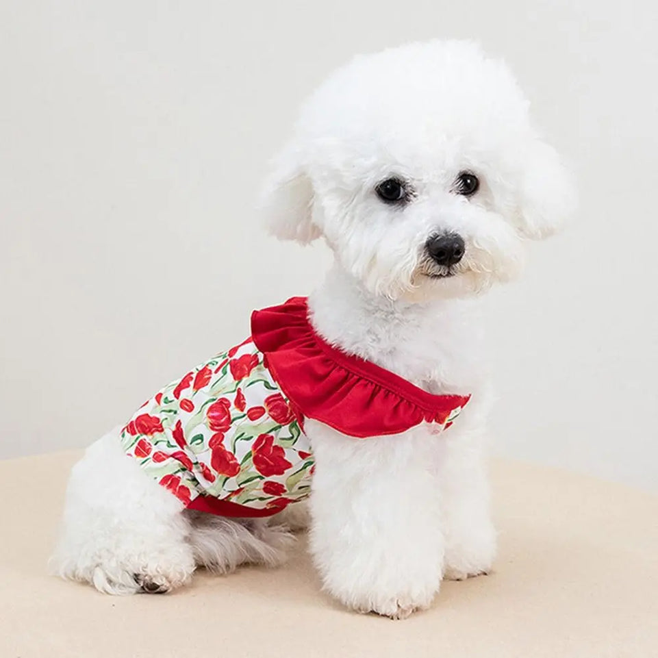 Fashion Cartoon Pattern Pet Summer Clothes Soft Thin Design Cat Suspender Skirt Breathable Pet Princess Dresses Summer