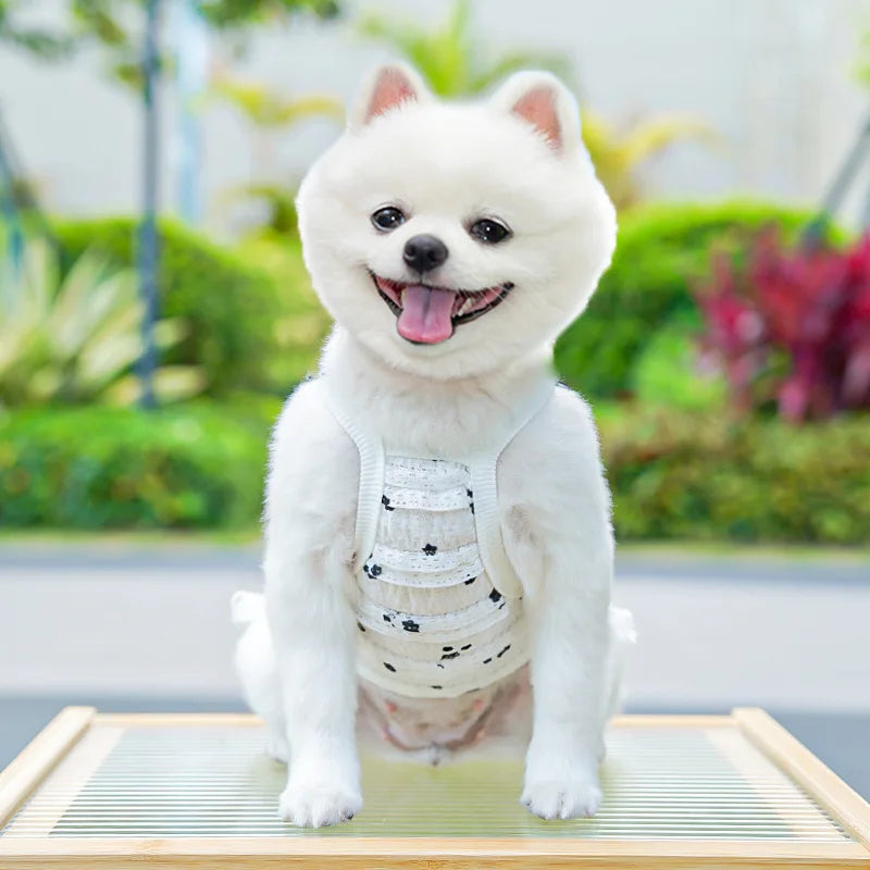 Fashion Ruffle Trim Dog Cat Princess Dress Breathable Bow Halter Summer Lace Pet Skirt Summer Elastic Luxury Cute Pet Clothes