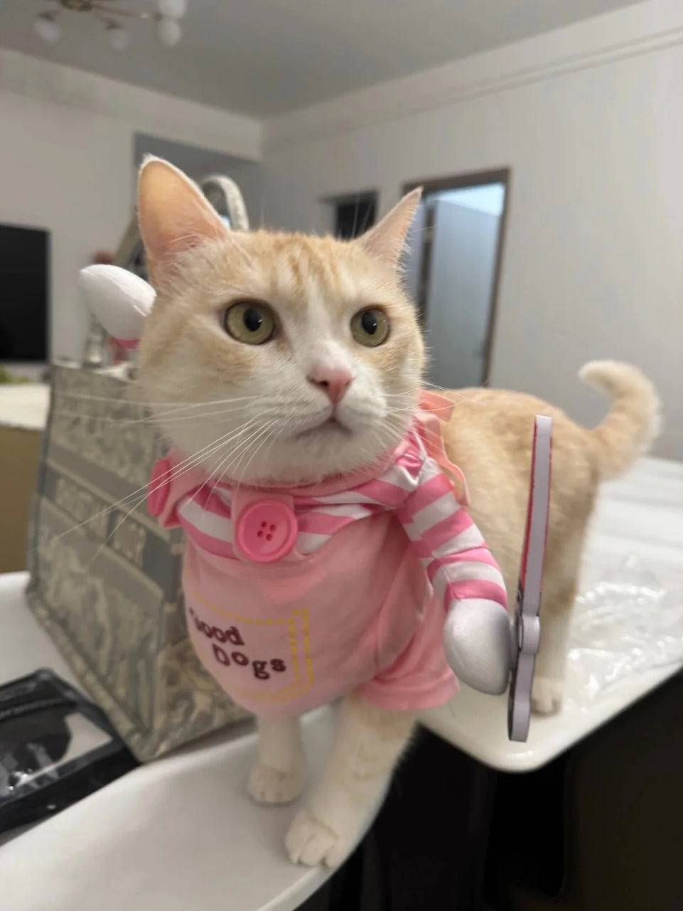 Cosplay Halloween Pet Costume For Small Medium Dogs Cats Funny Party Kitty Puppy Pet Jumpsuits Cute Pug Chihuahua Sphynx Clothes