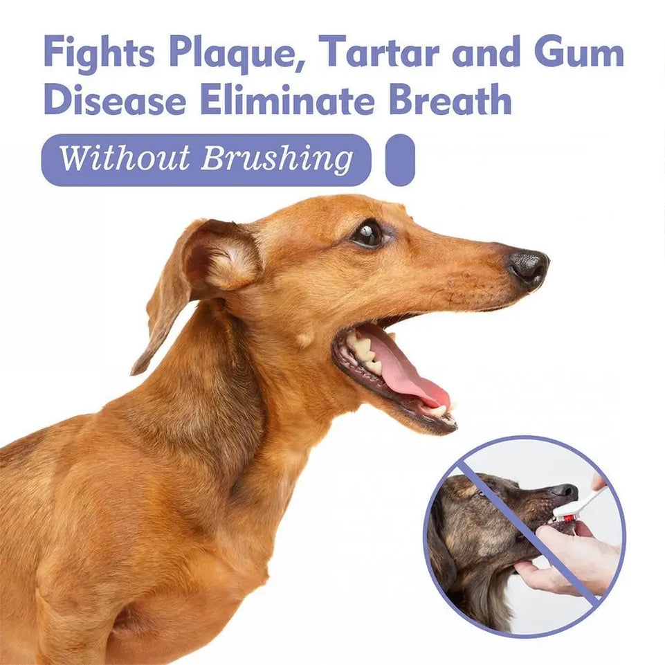1PCS 30ml Pet Dental Spray Teeth Cleaning Oral Care Solution For Dogs Cats Remove Plaque Tartar Fresh Breath Anti Plaque Formula