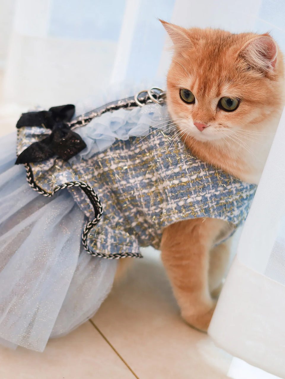 Pet clothing for spring & autumn, teddy bear, Schnauzer, Yorkshire, puppy clothing, dog princess dress, suitable for fashionable