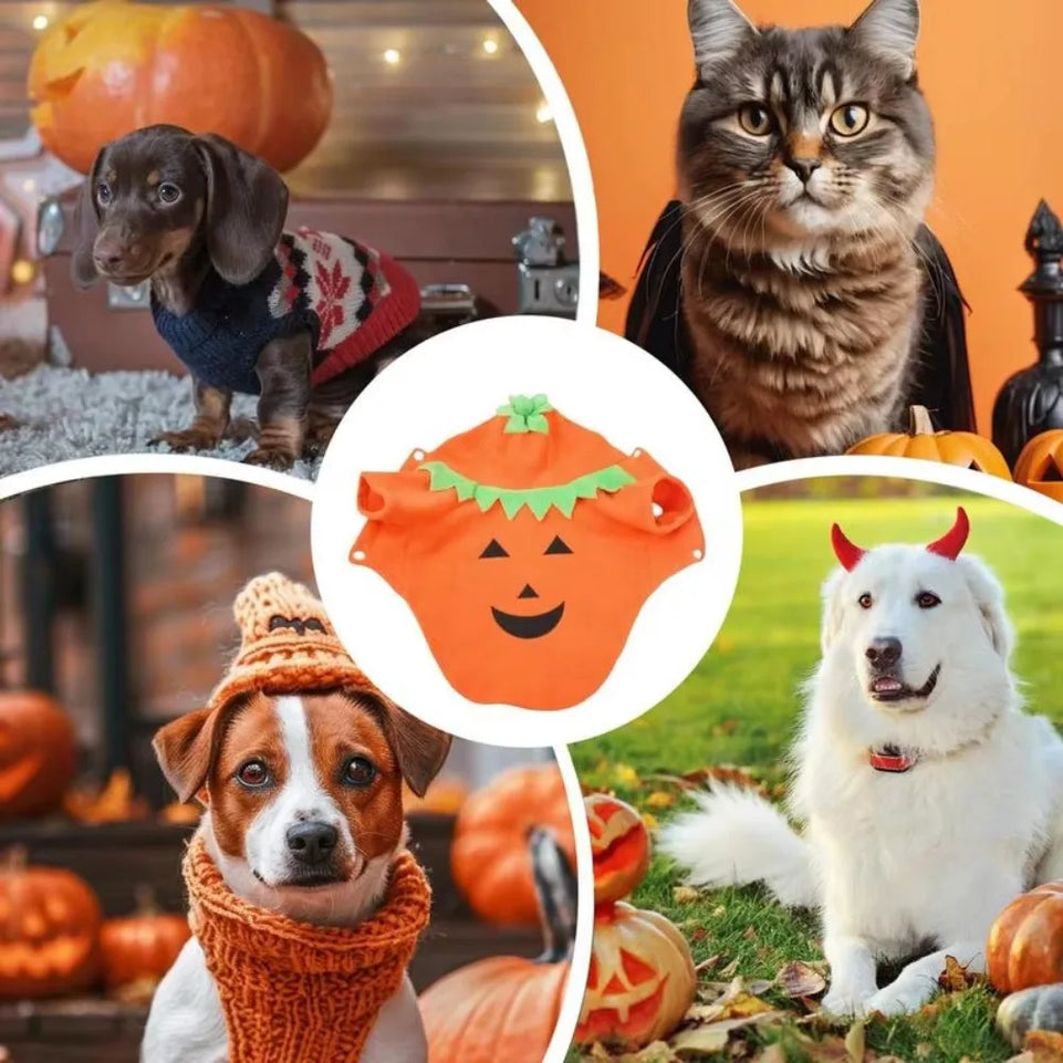 Fashion Pet Halloween Costumes Dog Cats Pumpkin Clothes Festival Suit Halloween Dog Fun Clothes Festivals Pet Dressing Supplies