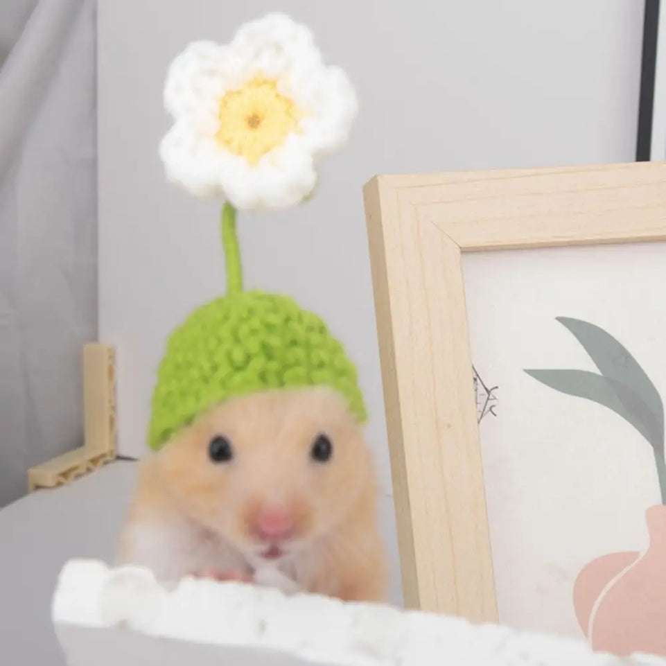 Pet Accessories Cartoon Hamster Hat Soft Handmade Pet Knitted Hat Adjustable Small Pet Caps Photograph