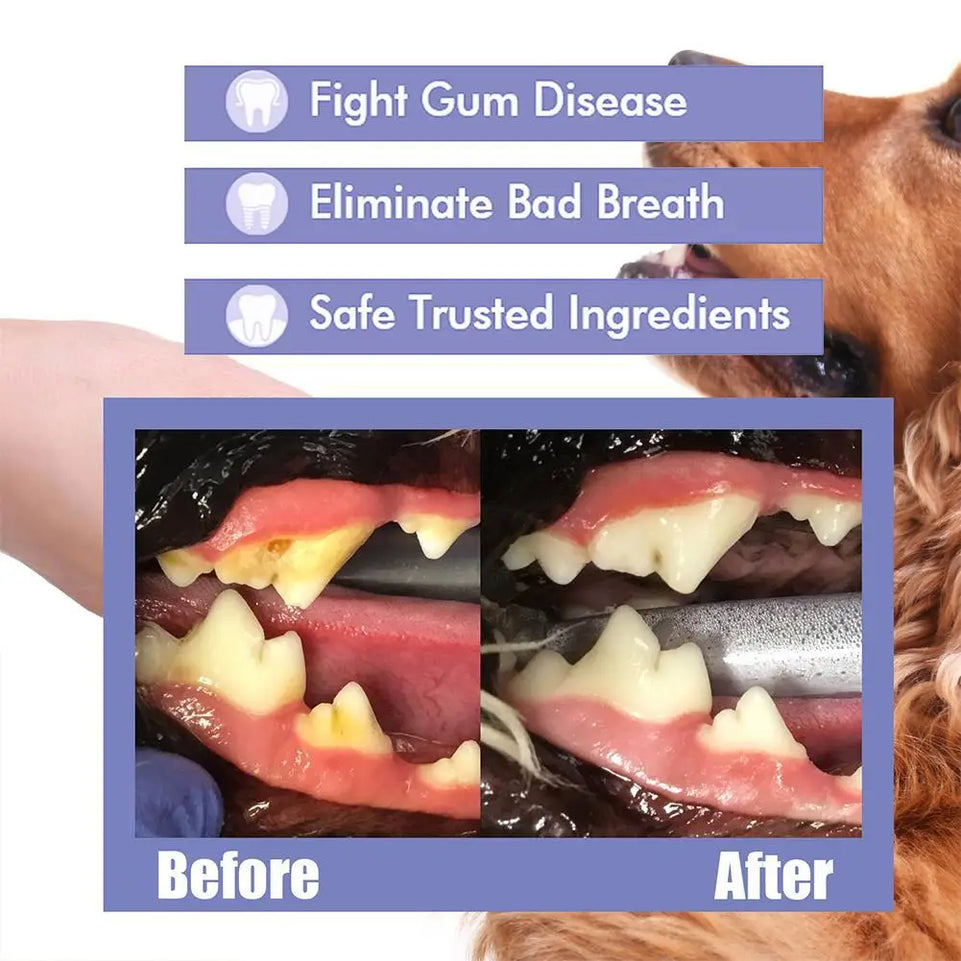 1PCS 30ml Pet Dental Spray Teeth Cleaning Oral Care Solution For Dogs Cats Remove Plaque Tartar Fresh Breath Anti Plaque Formula