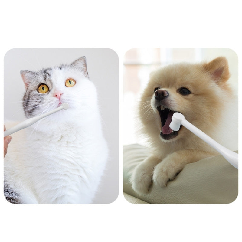 Dogs Toothbrush- Pet Toothbrush- Dogs Teeth Cleaning Cats Toothbrush- PuppyToothbrush Dogs Oral Care Dogs Oral Hygienes B03E
