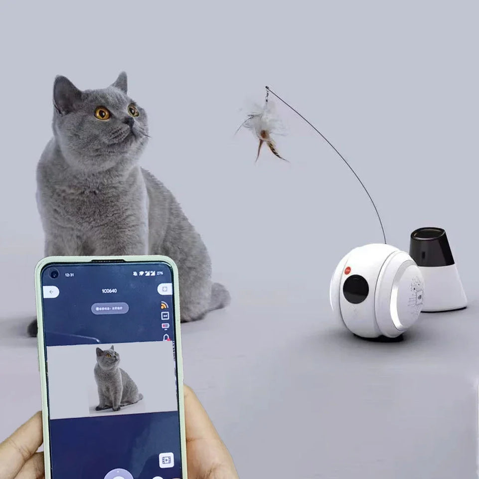 Interactive HD Pet came with Rolling Ball Toy inligent Home monit Featuring las Spot and Pet Movements Pet sounds