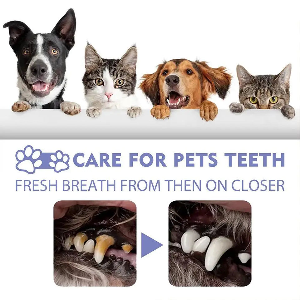 1PCS 30ml Pet Dental Spray Teeth Cleaning Oral Care Solution For Dogs Cats Remove Plaque Tartar Fresh Breath Anti Plaque Formula