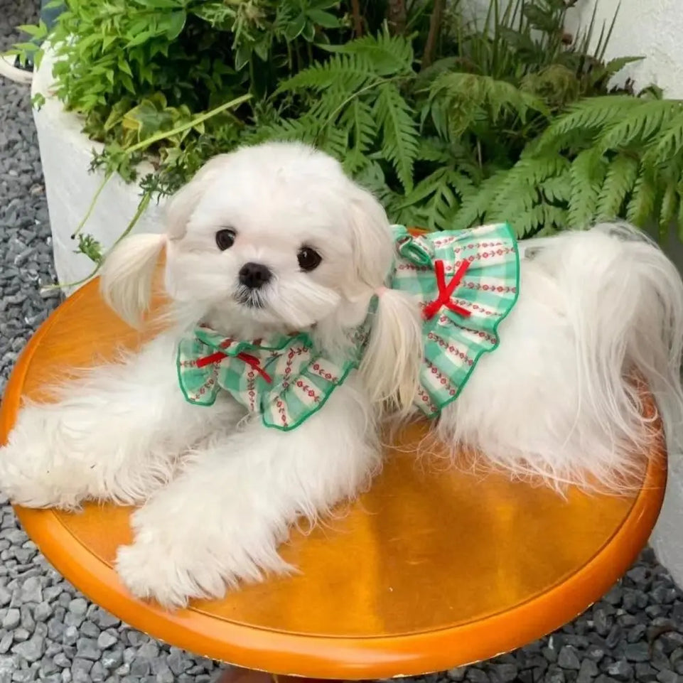 Fashion Polyester Fiber Pet Love Shirt Skirt INS Style Green Dog Plaid Shirt Skirt Cute Pet Plaid Dress Summer and Autumn