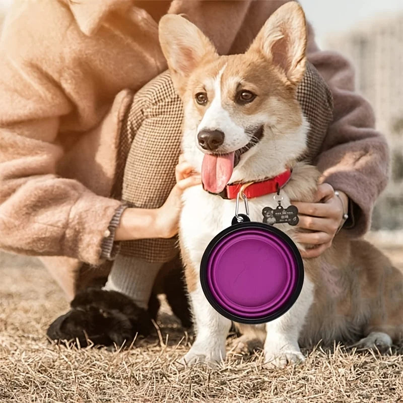 Portable Pet Food Bowl Durable TPR Bowl Cat and Dog Food Pet Silicone Collapsible Bowl Portable Travel Outdoor Water Food Bowl