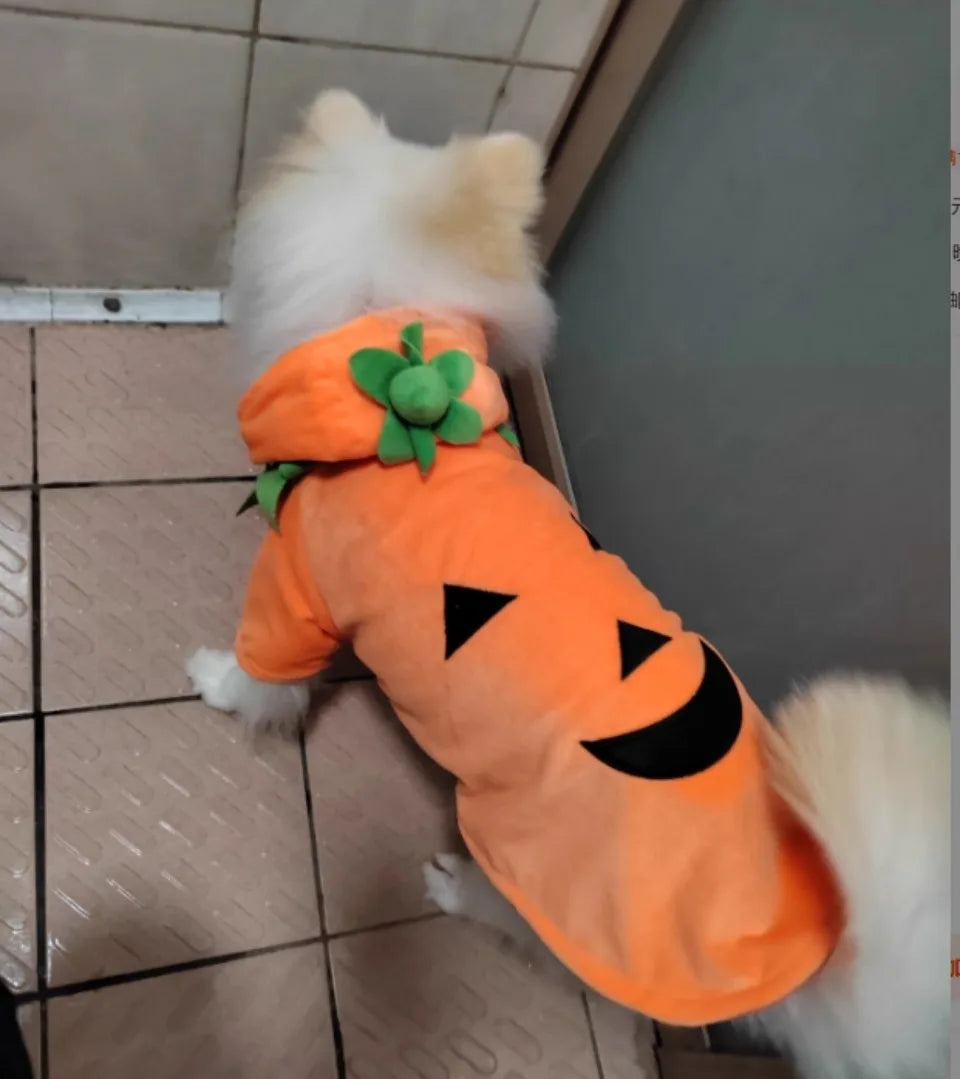 Fashion Pet Halloween Costumes Dog Cats Pumpkin Clothes Festival Suit Halloween Dog Fun Clothes Festivals Pet Dressing Supplies