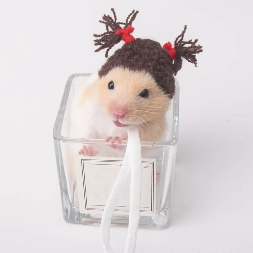 Pet Accessories Cartoon Hamster Hat Soft Handmade Pet Knitted Hat Adjustable Small Pet Caps Photograph