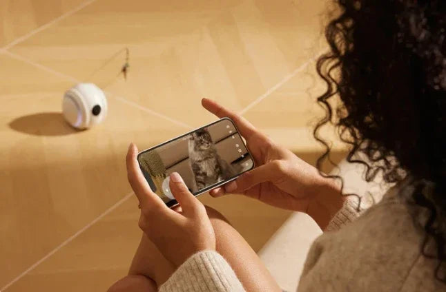 Interactive HD Pet came with Rolling Ball Toy inligent Home monit Featuring las Spot and Pet Movements Pet sounds