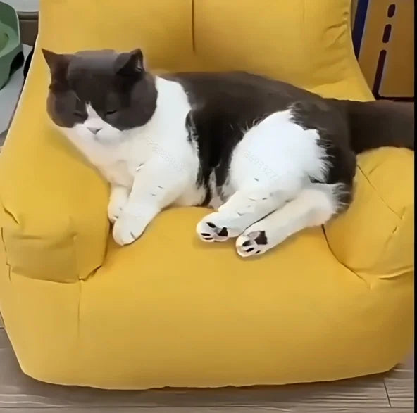 1pc Cat Sofa Bed with Adorable Cartoon Design, Detachable & Washable Reusable Pet Furniture, - for Indoor Cats Up To 2.72 KG