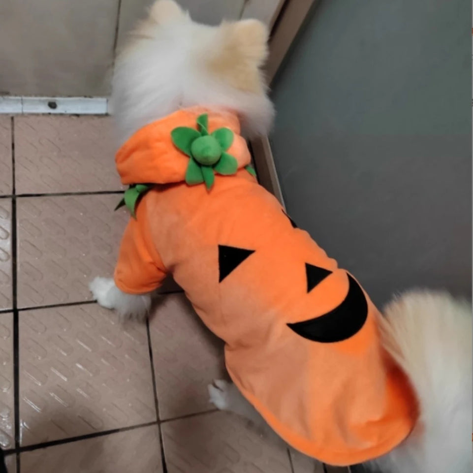 Fashion Pet Halloween Costumes Dog Cats Pumpkin Clothes Festival Suit Halloween Dog Fun Clothes Festivals Pet Dressing Supplies