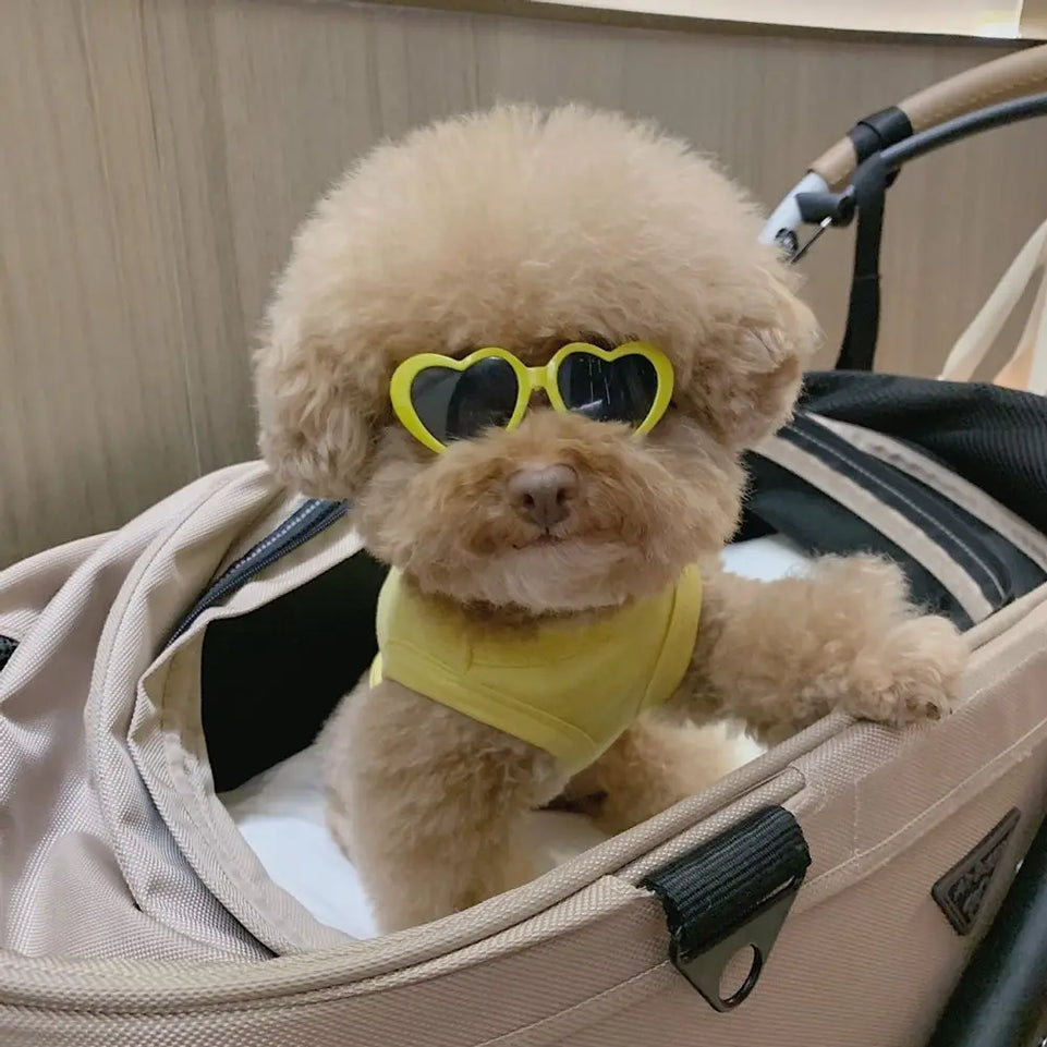 Fashion Plastic Photos Props Pet Glasses Pet Products Pet Accessoires Pets Party Decor Cat  Eye-Wear Cat Sunglasses Cat Glasses