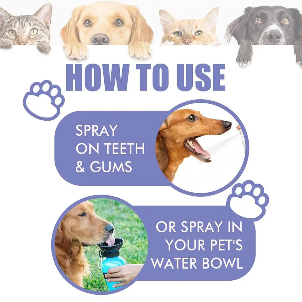 Pet Dental Spray Reduces Plaque & Tartar Buildup Dog Cleaning Bad Freshener Breath Teeth Mint Spray Oral 30ml Care Flavor