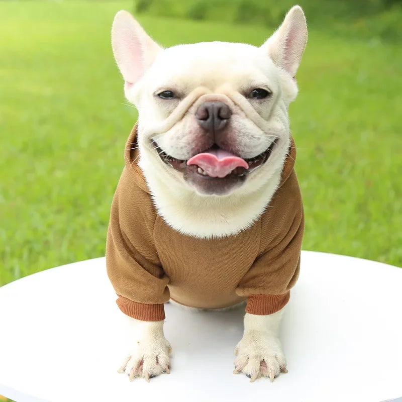 Fashion Dog Clothing Autumn and Winter Small Pet Clothes Thickening Warm Solid Color Two-Feet Hooded Weater Casual Pet Products