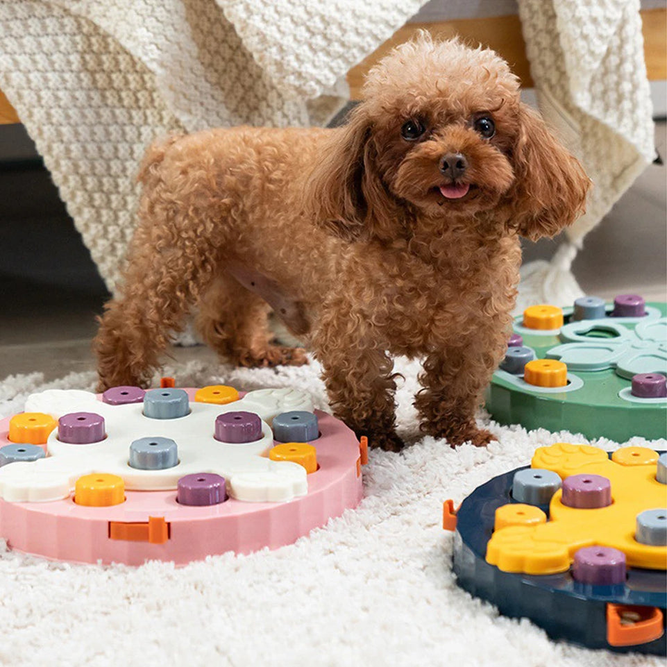 Pet Cat Interactive Puzzle Toys NonSlip Bowl Food Dispenser Slow Feeder Slowly Eating Pet Cat Dogs Training Game Pet Supplies