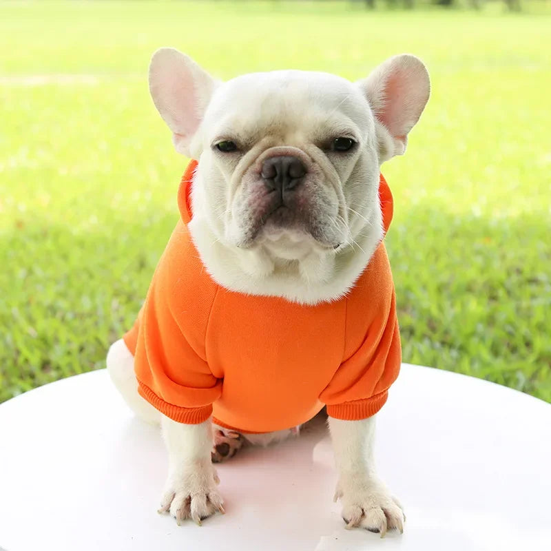 Fashion Dog Clothing Autumn and Winter Small Pet Clothes Thickening Warm Solid Color Two-Feet Hooded Weater Casual Pet Products
