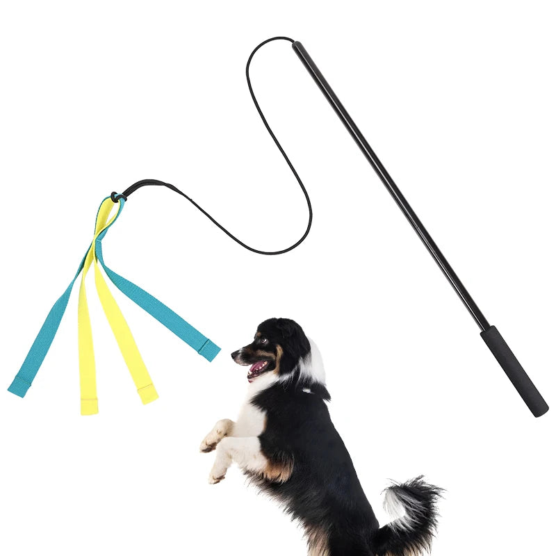 Dog Interactive Flirt Pole Toys Durable Interactive Toy Outdoor Activities Dog Training Toys Pet Supplies Pet Throwing Toy