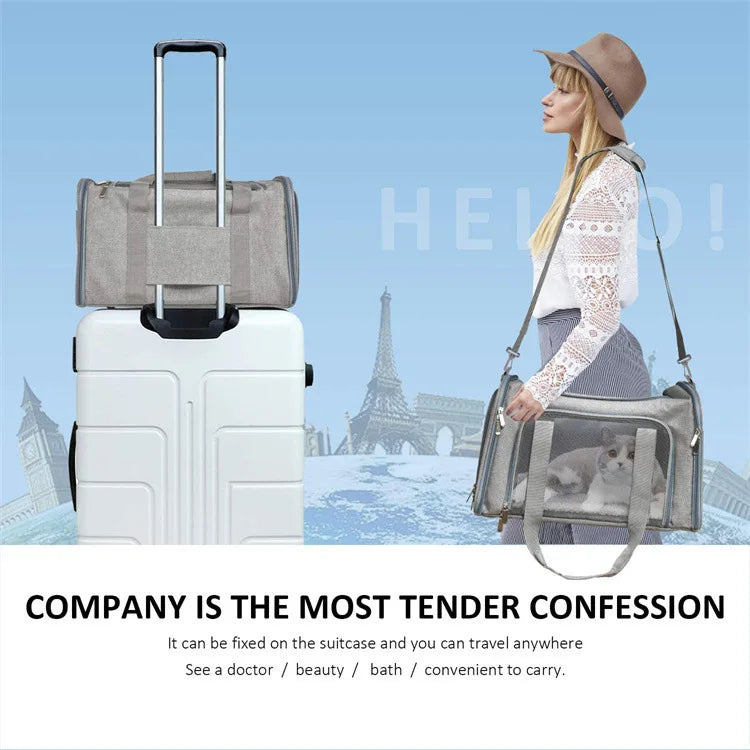 Pet Cat Charters Carry Bags Out Portable Large Capacity Pet Supplies Breathable Folding Large Space